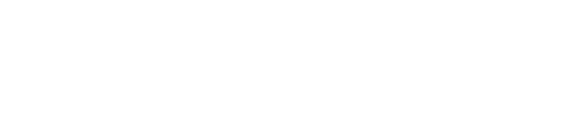 Seagate